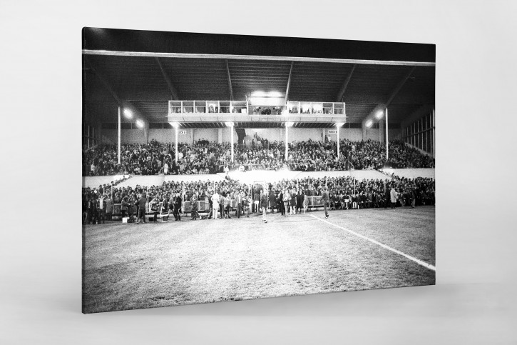 Europapokal an der Grünwalder Straße - FC Bayern München - 11FREUNDE SHOP