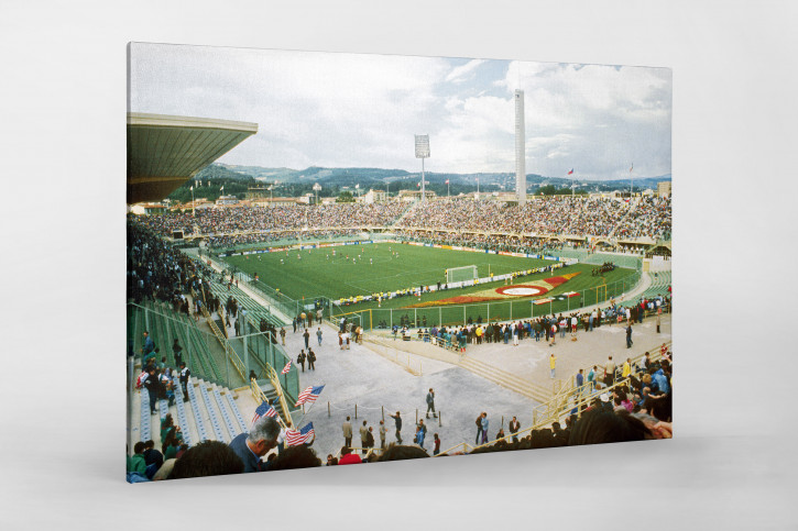 Stadio Artemio Franchi 1990