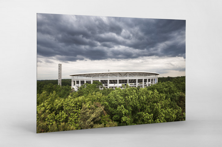 Blick auf die Frankfurter Arena - Fußball Wandbild - 11FREUNDE SHOP