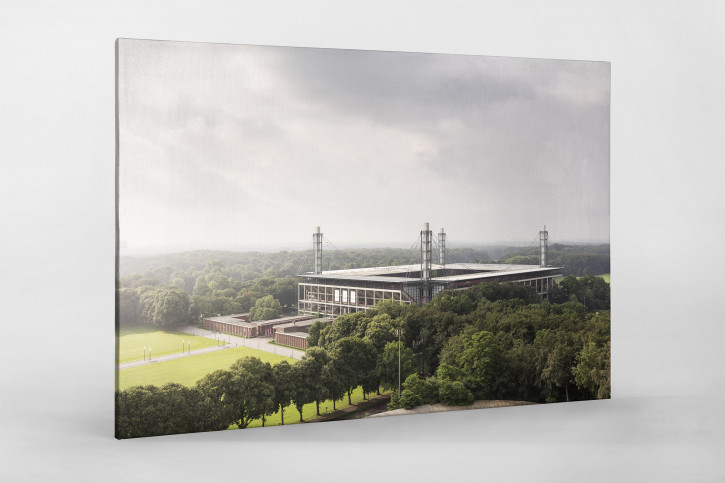 Blick auf die Kölner Arena - Fußball Wandbild - 11FREUNDE SHOP