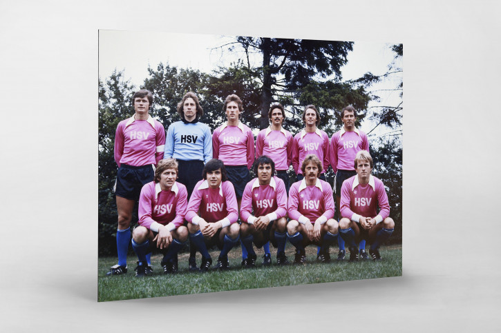 HSV in Rosa - 11FREUNDE SHOP - Wandbild Mannschaftsfoto