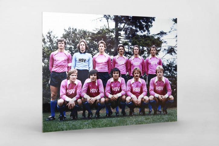 HSV in Rosa - 11FREUNDE SHOP - Wandbild Mannschaftsfoto