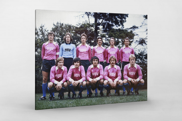 HSV in Rosa - 11FREUNDE SHOP - Wandbild Mannschaftsfoto