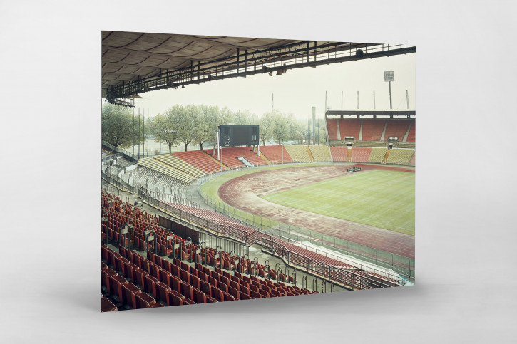 Witness of Glory Times: Düsseldorf - Markus Wendler - Stadion Foto als Wandbild