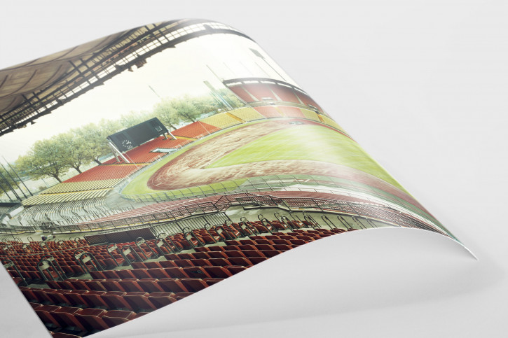 Witness of Glory Times: Düsseldorf - Markus Wendler - Stadion Foto als Wandbild
