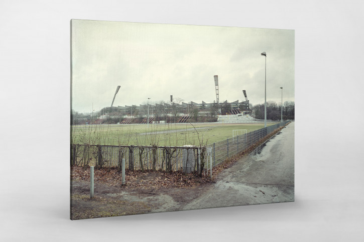 Witness of Glory Times: Hamburg (2) - Markus Wendler - Stadion Foto als Wandbild