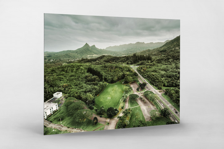Fußballplatz in Honolulu - Wandbild - 11FREUNDE SHOP