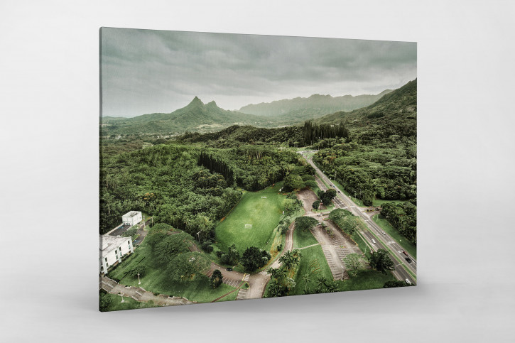 Fußballplatz in Honolulu - Wandbild - 11FREUNDE SHOP