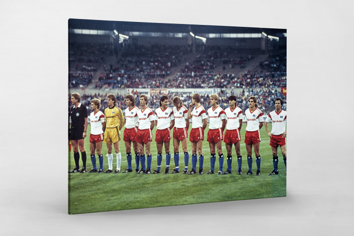 HSV im Waldstadion - 11FREUNDE BILDERWELT