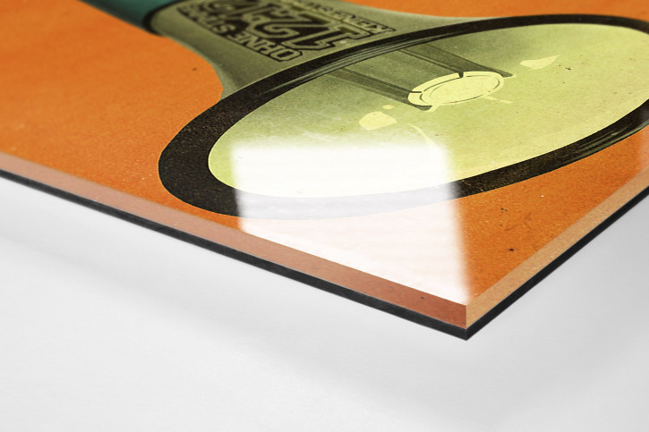 Fan mit Megaphon Illustration - 11FREUNDE BILDERWELT