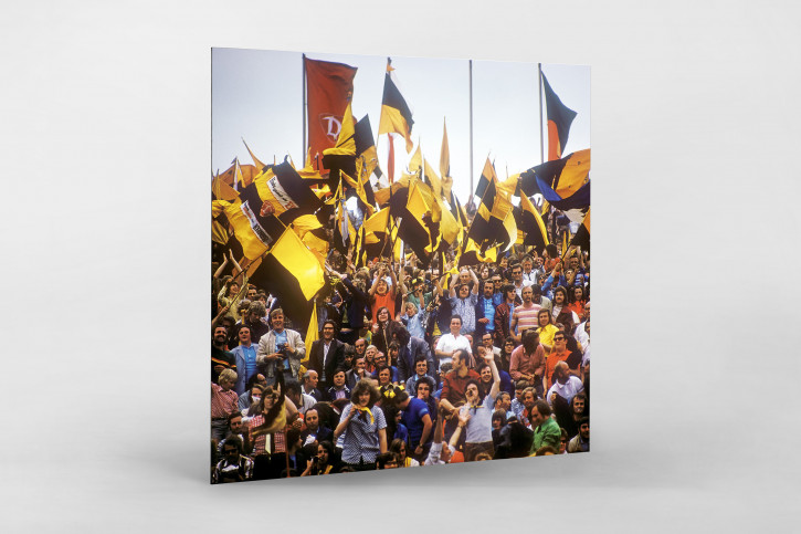 Dynamo Dresden Fans - 11FREUNDE BILDERWELT