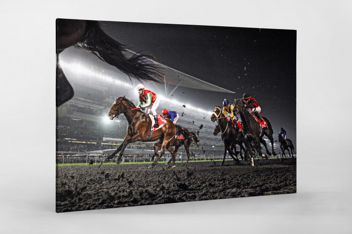 Galopprennbahn in Meydan - 11FREUNDE SHOP - NoSports - Reitsport Foto als Wandbild