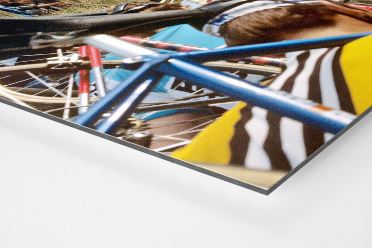 Fahrradtragen bei der Flandern-Rundfahrt - Sport Fotografien als Wandbilder - Radsport Foto - NoSports Magazin - 11FREUNDE SHOP