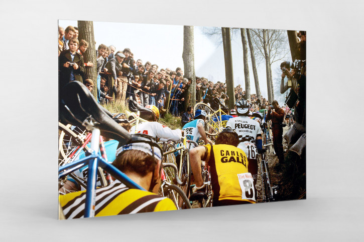 Fahrradtragen bei der Flandern-Rundfahrt - Sport Fotografien als Wandbilder - Radsport Foto - NoSports Magazin - 11FREUNDE SHOP