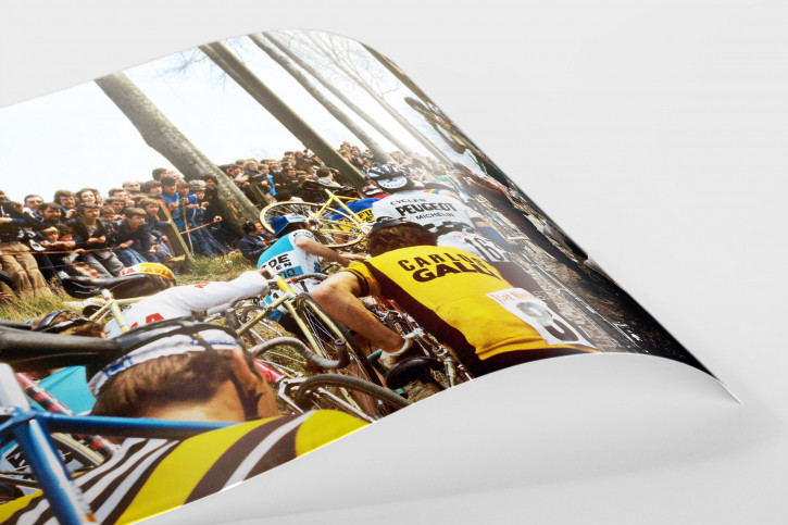 Fahrradtragen bei der Flandern-Rundfahrt - Sport Fotografien als Wandbilder - Radsport Foto - NoSports Magazin - 11FREUNDE SHOP