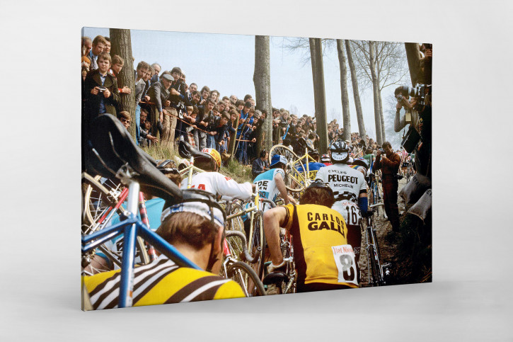 Fahrradtragen bei der Flandern-Rundfahrt - Sport Fotografien als Wandbilder - Radsport Foto - NoSports Magazin - 11FREUNDE SHOP
