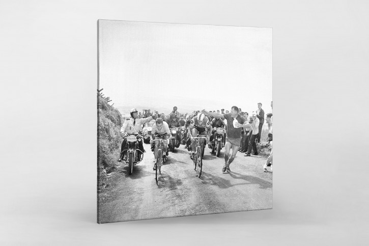 Mit dem Schwamm bei der Tour 1964 - Sport Fotografie als Wandbild - Radsport Foto - NoSports Magazin - 11FREUNDE SHOP