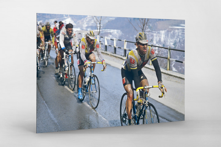 Schmutzig bei Mailand-Sanremo - Sport Fotografien als Wandbilder - Radsport Foto - NoSports Magazin 