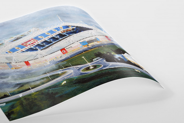 Stadia Art: Madejski Stadium - Poster bestellen - 11FREUNDE SHOP