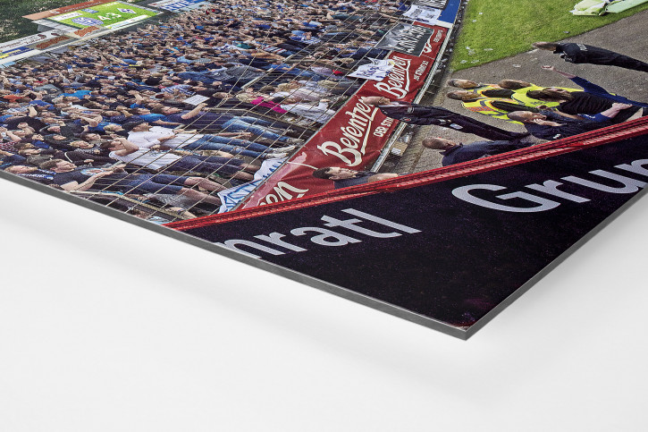 SV Meppen - Emslandstadion - 11FREUNDE Stadionposter Motiv - Panorama-Wandbild 