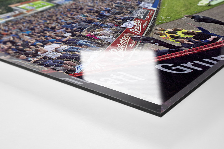 SV Meppen - Emslandstadion - 11FREUNDE Stadionposter Motiv - Panorama-Wandbild 