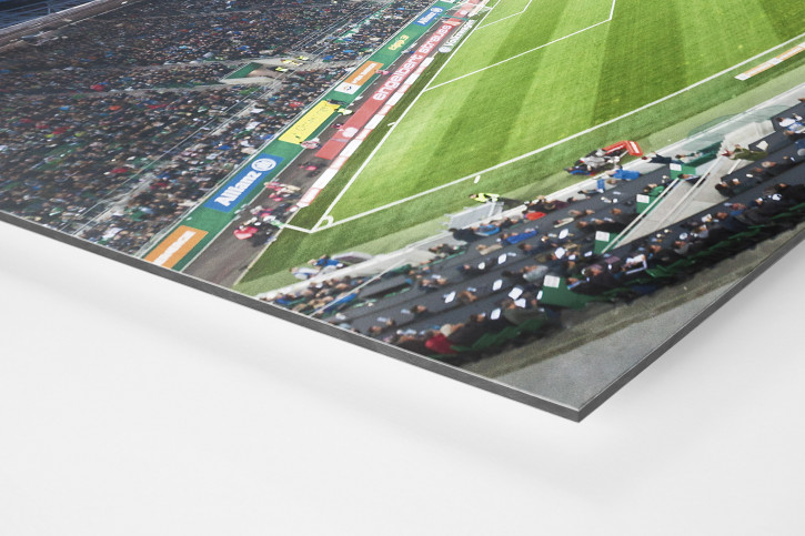 Wien (Rapid 2018) - Stadion Wandbild Allianz Stadion - 11FREUNDE SHOP