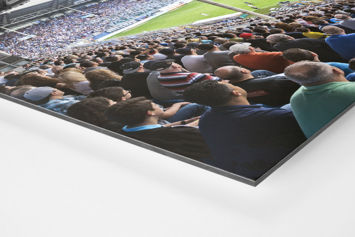 Mannheim (2016) - Stadion Wandbild Carl-Benz-Stadion - 11FREUNDE SHOP