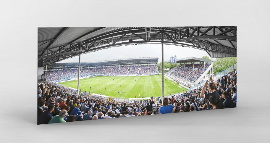 Mannheim (2016) - Stadion Wandbild Carl-Benz-Stadion - 11FREUNDE SHOP