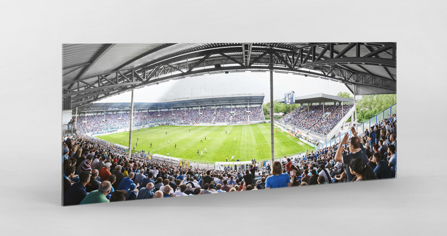 Mannheim (2016) - Stadion Wandbild Carl-Benz-Stadion - 11FREUNDE SHOP