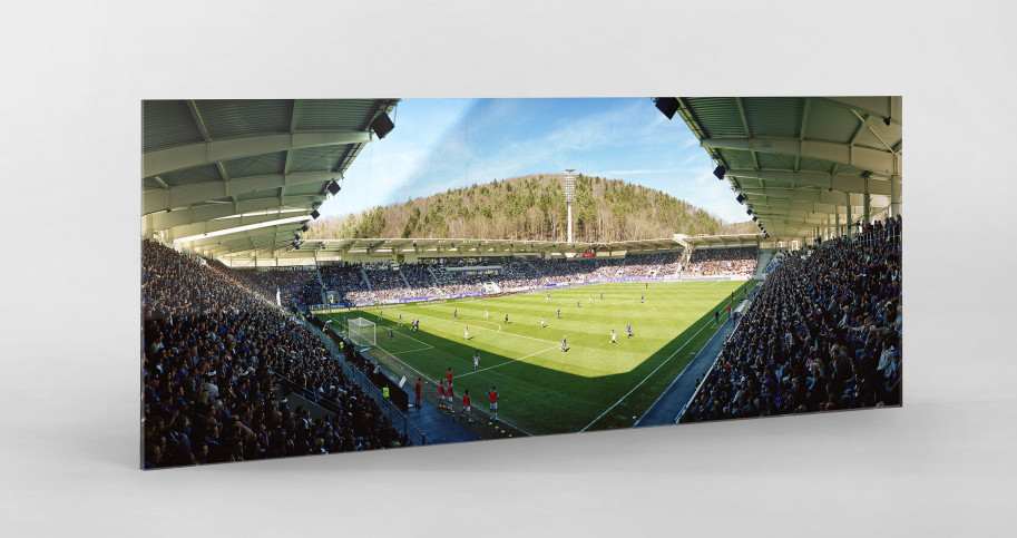 Aue (2018) - Stadion Wandbild Erzgebirgsstadion - 11FREUNDE SHOP