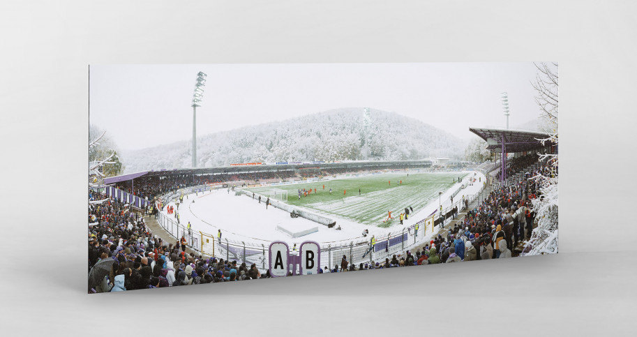 Aue Sparkassen-Erzgebirgsstadion 11FREUNDE BILDERWELT