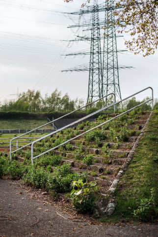 Verlassene Stadien - Essen (2)