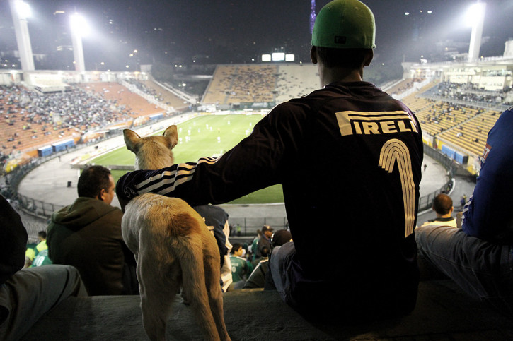 Palmeiras Fan And Dog Watching The Match - Gabriel Uchida - 11FREUNDE BILDERWELT