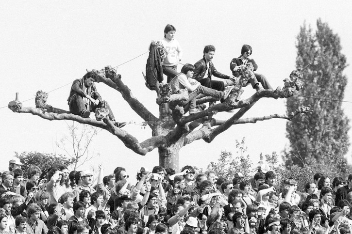 Fans auf dem Baum - 11FREUNDE BILDERWELT