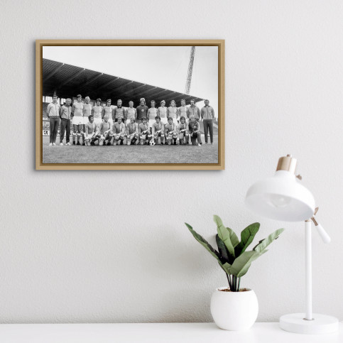 FC Hansa Rostock Mannschaftsfoto - 11FREUNDE BILDERWELT