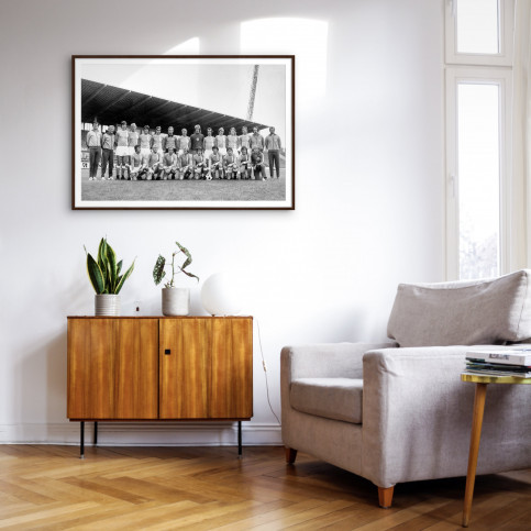 FC Hansa Rostock Mannschaftsfoto - 11FREUNDE BILDERWELT