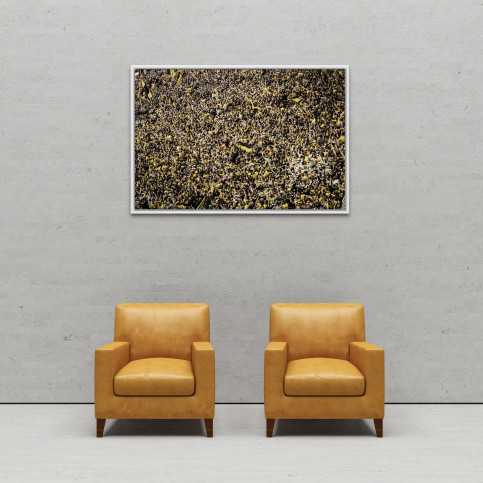 Gelbe Wand - Farbe (2) - 11FREUNDE SHOP - Fußball Wandbild - BVB Borussia Dortmund