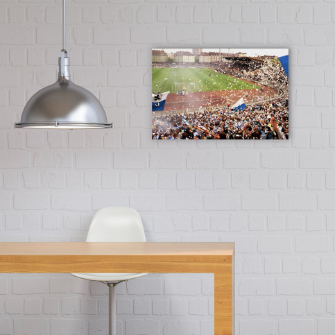 Stadion an der Grünwalder Straße (1990) - Fußball Foto Wandbild - 11FREUNDE SHOP