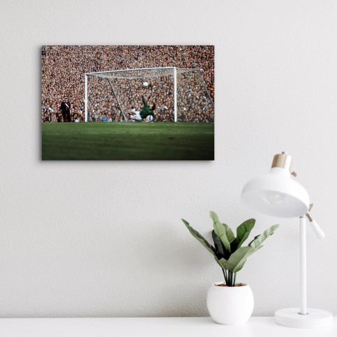 Fans hinter dem Torwart - Fußball Wandbild - 11FREUNDE SHOP