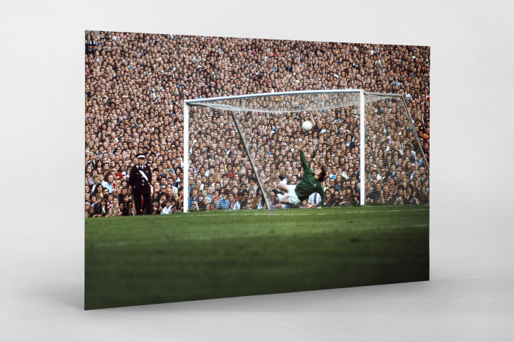 Fans hinter dem Torwart - Fußball Wandbild - 11FREUNDE SHOP