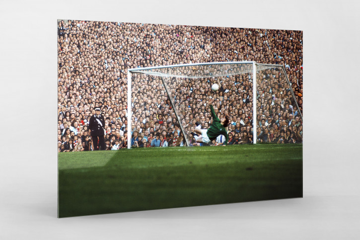 Fans hinter dem Torwart - Fußball Wandbild - 11FREUNDE SHOP