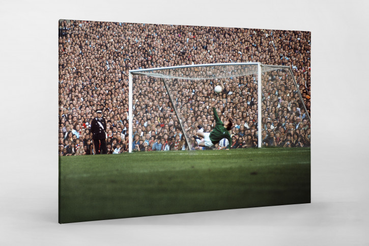 Fans hinter dem Torwart - Fußball Wandbild - 11FREUNDE SHOP