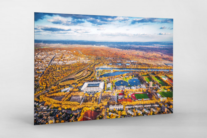 Vogelperspektive auf Duisburg und das Stadion - Wandbild MSV Duisburg