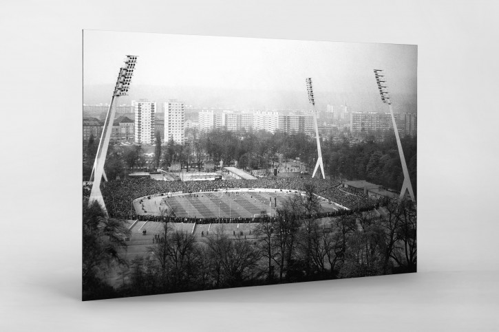 Blick auf Dresden und das Stadion