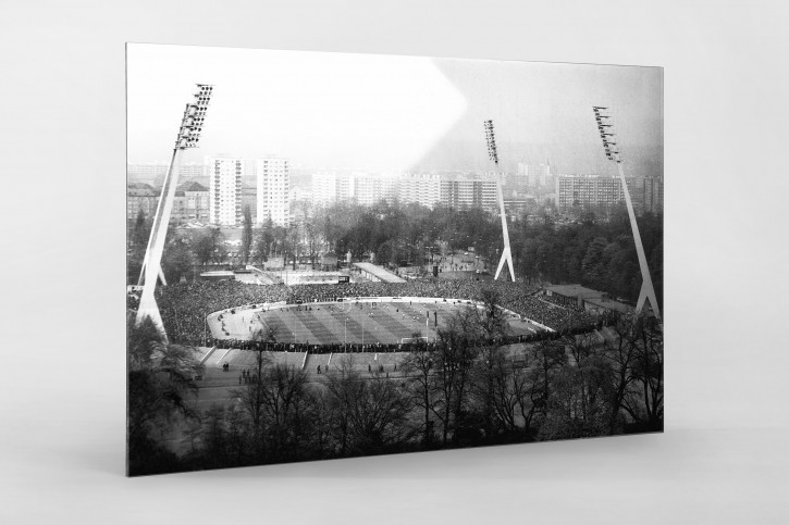 Blick auf Dresden und das Stadion