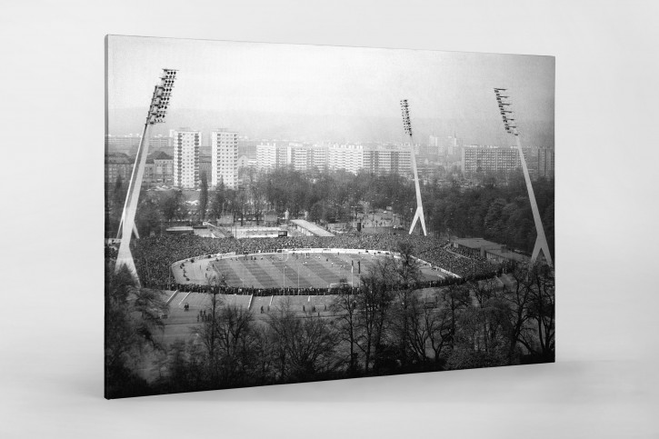 Blick auf Dresden und das Stadion