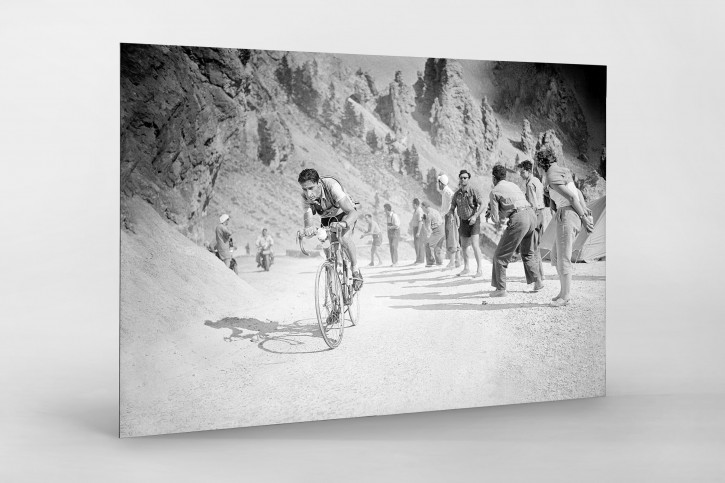 Ferdy am Col d'Izoard 1954 - Wandbild