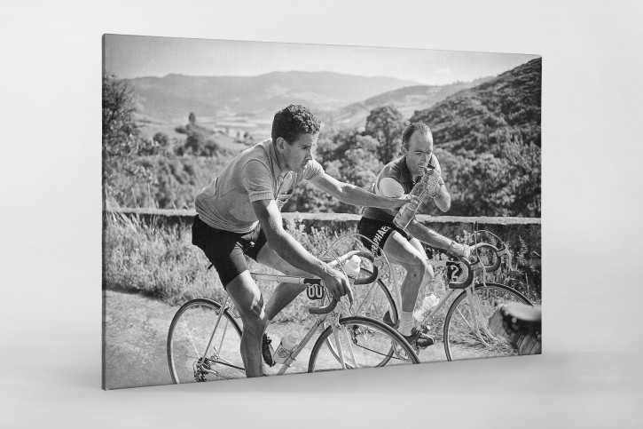 Wasserflaschenübergabe bei der Tour 1956 - Wandbild