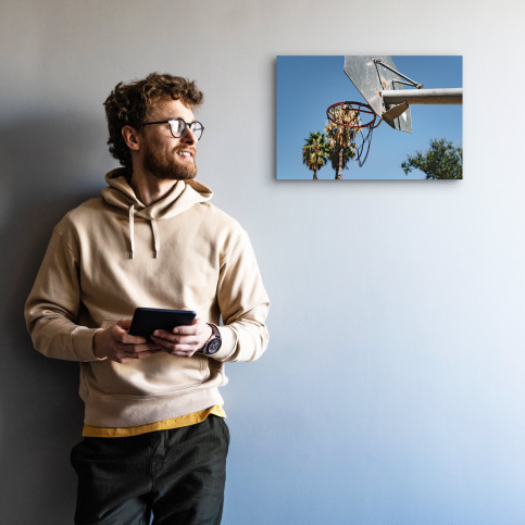 Basketpalms - Wandbild