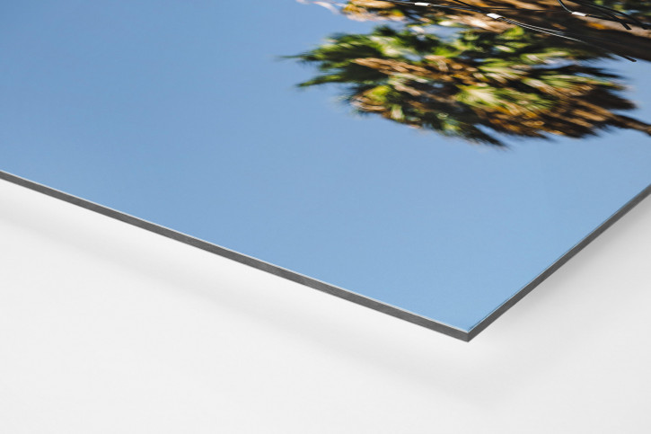 Basketpalms - Wandbild